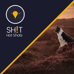 Sh!t Hot Shots: The Online Course